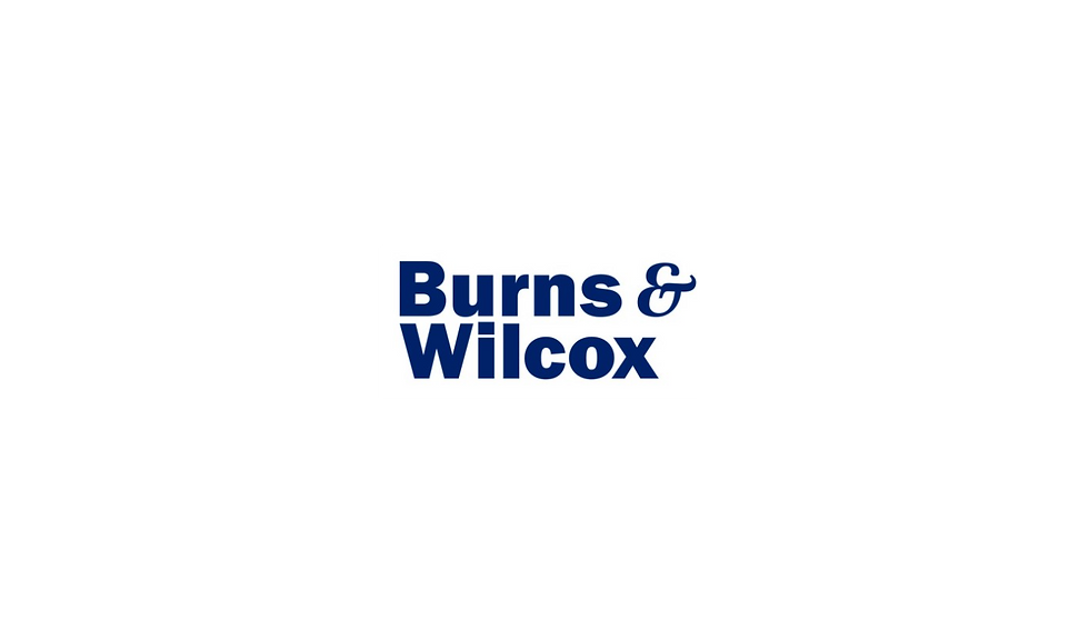 Burns & Wilcox: P&C Market Outlook: Q3 2024