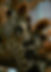 earthbride-dedoelen-crown-detail.jpg