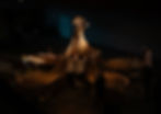 earthbride-dedoelen.jpg