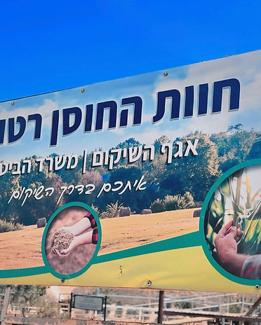 Imagen de WhatsApp 2025-09-25 a las 14.22.00_3baad756.jpg