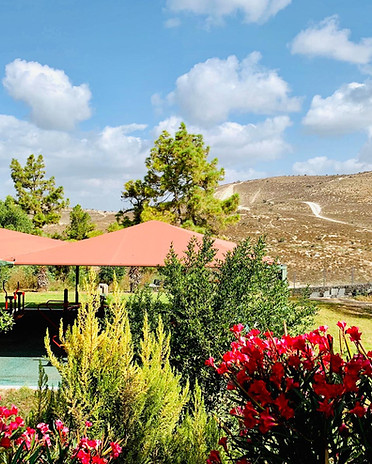 Imagen de WhatsApp 2025-09-25 a las 14.22.00_9b1446cf.jpg