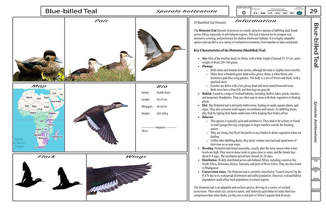 4. Card-Template - Front-Version4.jpg