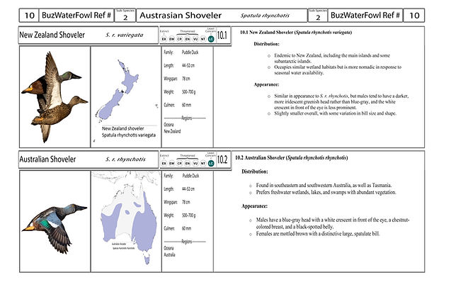 4. Card-Template - Front-Version4.jpg
