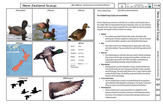 4. Card-Template - Front-Version4.jpg