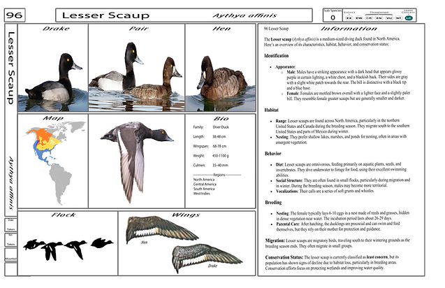 4. Card-Template - Front-Version4.jpg