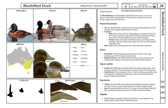 4. Card-Template - Front-Version4.jpg