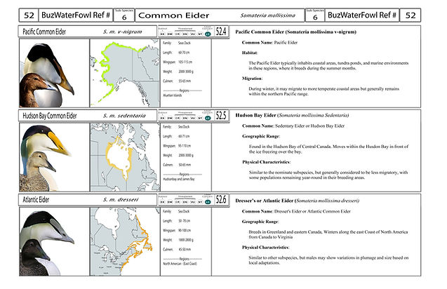 4. Card-Template - Front-Version4.jpg