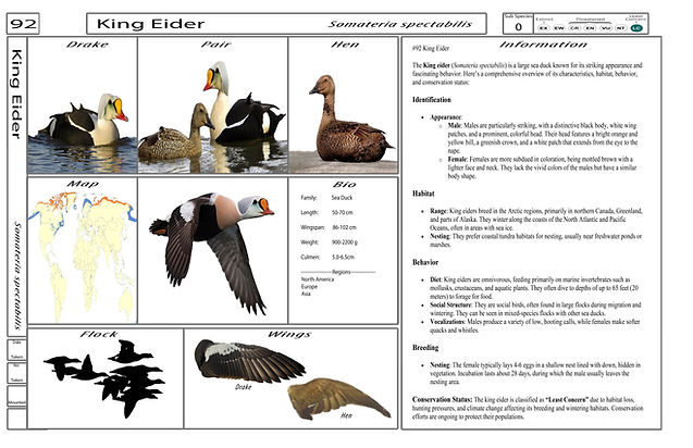 4. Card-Template - Front-Version4.jpg