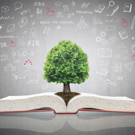 Artículo No. 4: WORDS OF WISDOM - PALABRAS DE SABIDURÍA