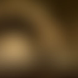 DOES QUANTUM MECHANICS REVEAL THAT LIFE IS BUT A DREAM?