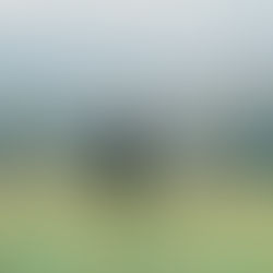 MISCELÁNEA - ALGO (BUENO) PARA COMPARTIR