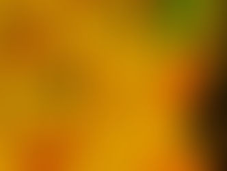 Artículo No. 4.- CANCIONES DE IBEROAMÉRICA Interpretadas por CANTANTES FAMOSOS.