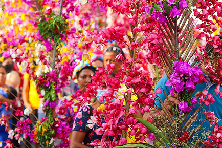 Festival de las flores y las palmas - Panchimalco(2).jpg