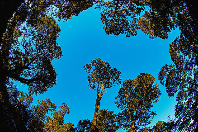 Parque-Nacional-El-Boquerón-19.jpg