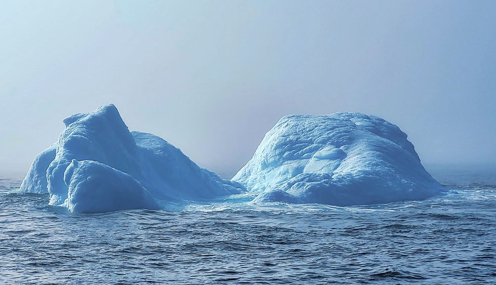 First Icebergs en route to Greenland