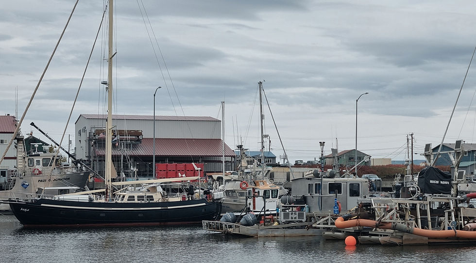 Nome Harbour - many gold dredging boats...