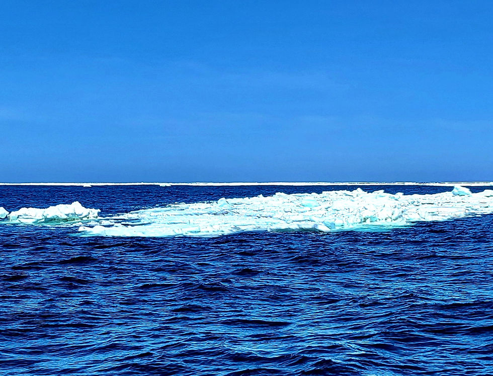 Unexpected obstacle, Sea Ice around Louisbourg