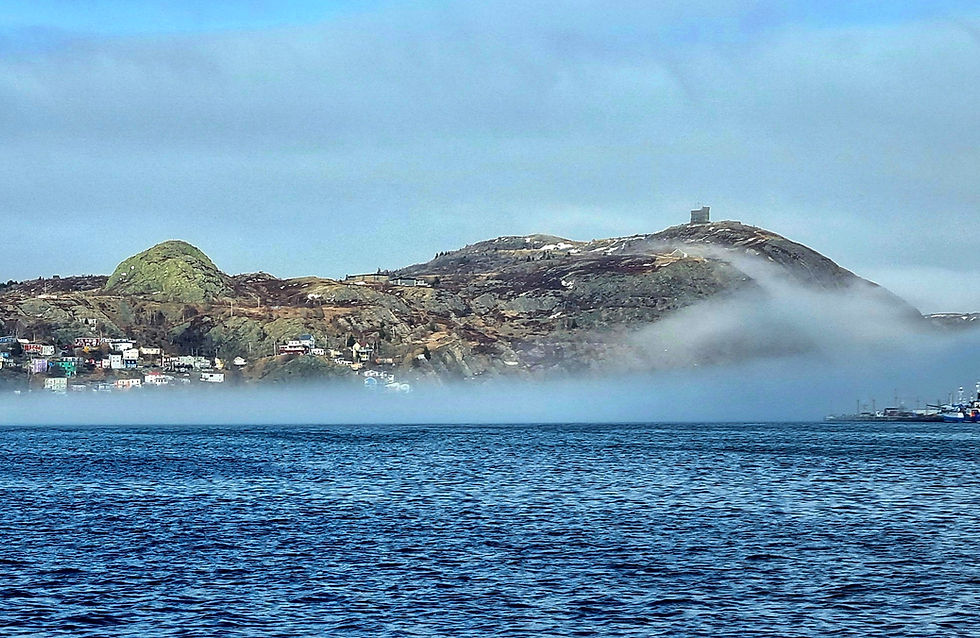Daily afternoon fog is approaching St. John`s Harbour