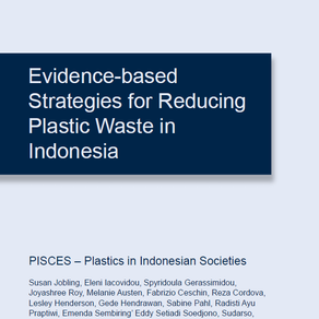 Evidence-based Strategies for Reducing Plastic Waste in Indonesia