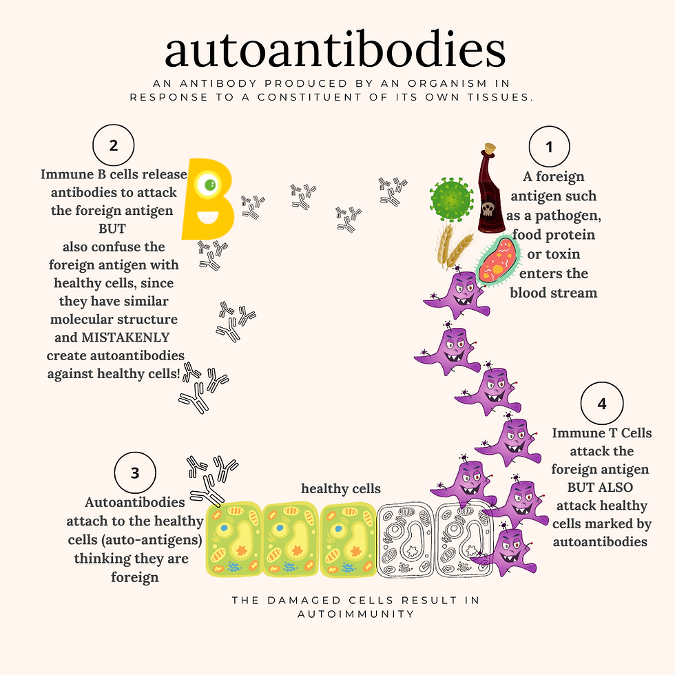 Autoantibodies...a clue to Autoimmunity.