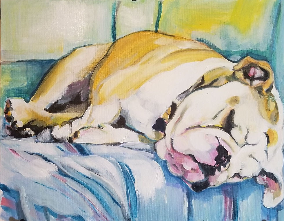 sleeping dog