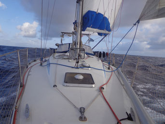 E la nave va...