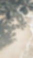 image-from-rawpixel-id-14899519-jpeg_edited_edited_edited.jpg