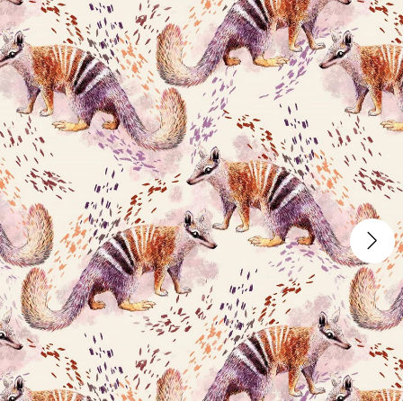 Numbat Scrubs | Wild Scrubs