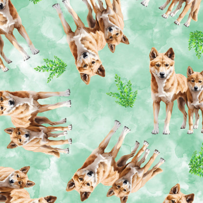 Dingo (Green) Scrubs | Wild Scrubs