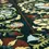 Thumbnail: 9729 BAVARIA
