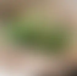 鳥取牛もつ鍋セットの美味しい食べ方