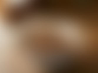 鳥取和牛切り落としで作る牛丼レシピ