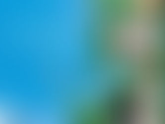 演奏会に出演します