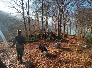 IMG-20211121-WA0040.jpg