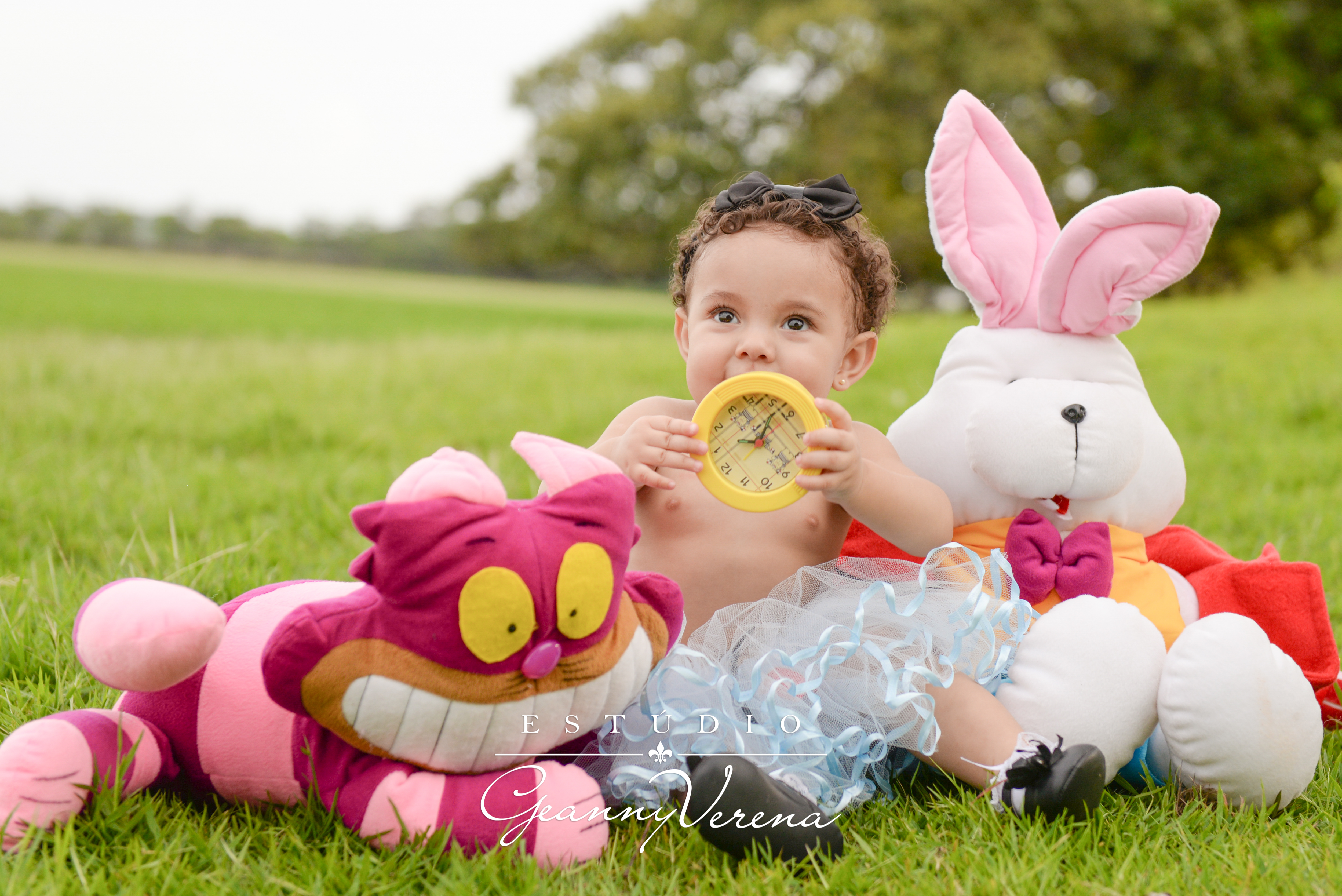 Alice 1 ano (1161)