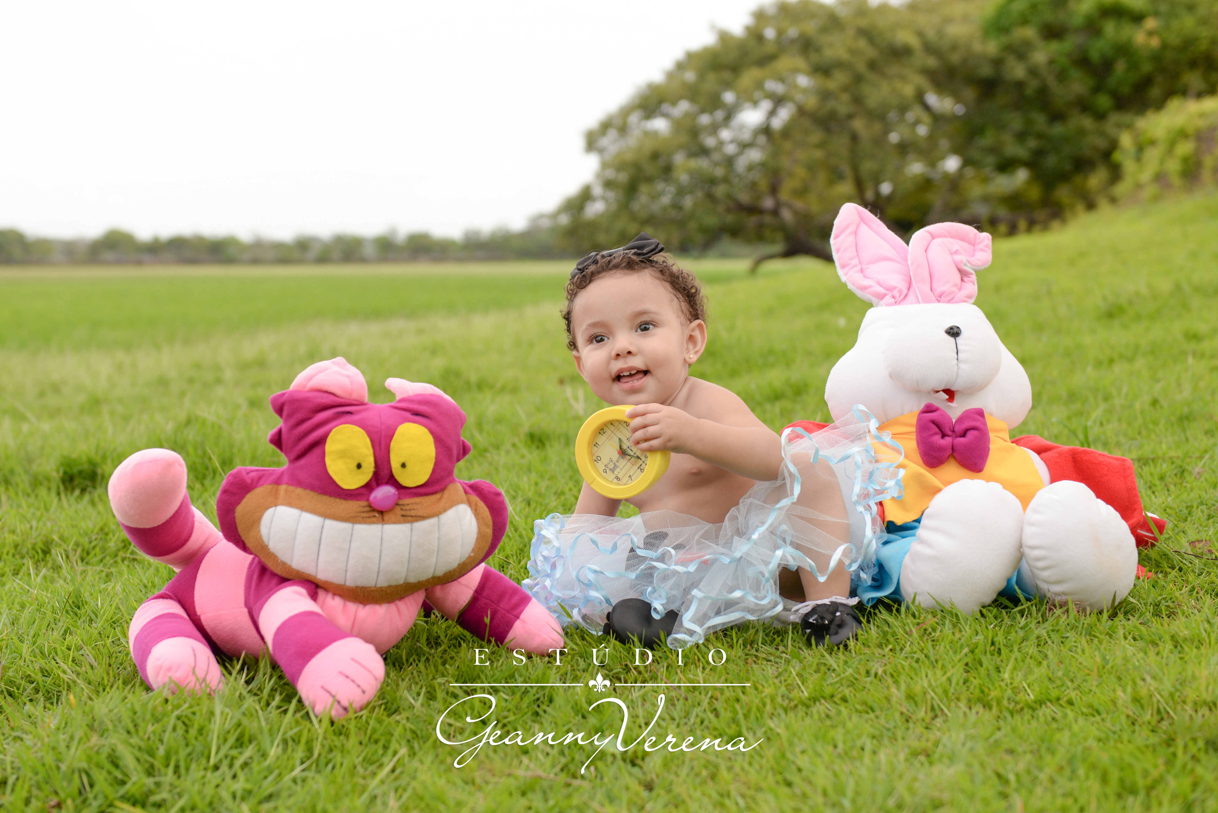 Alice 1 ano (1163)
