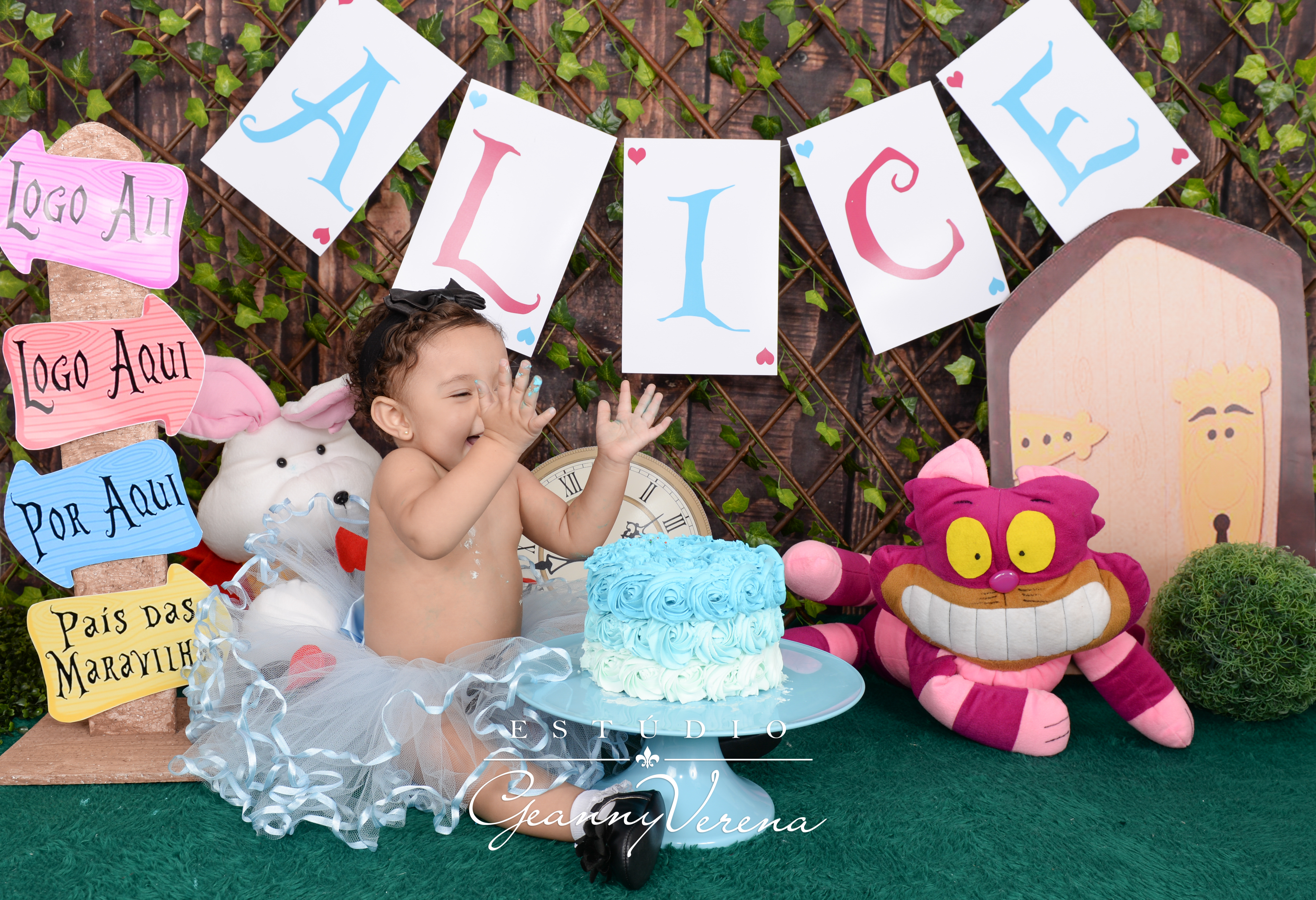 Alice 1 ano (1053)