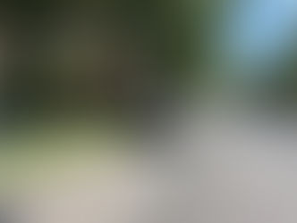 Что значит синяя дорожная разметка в Алматы?