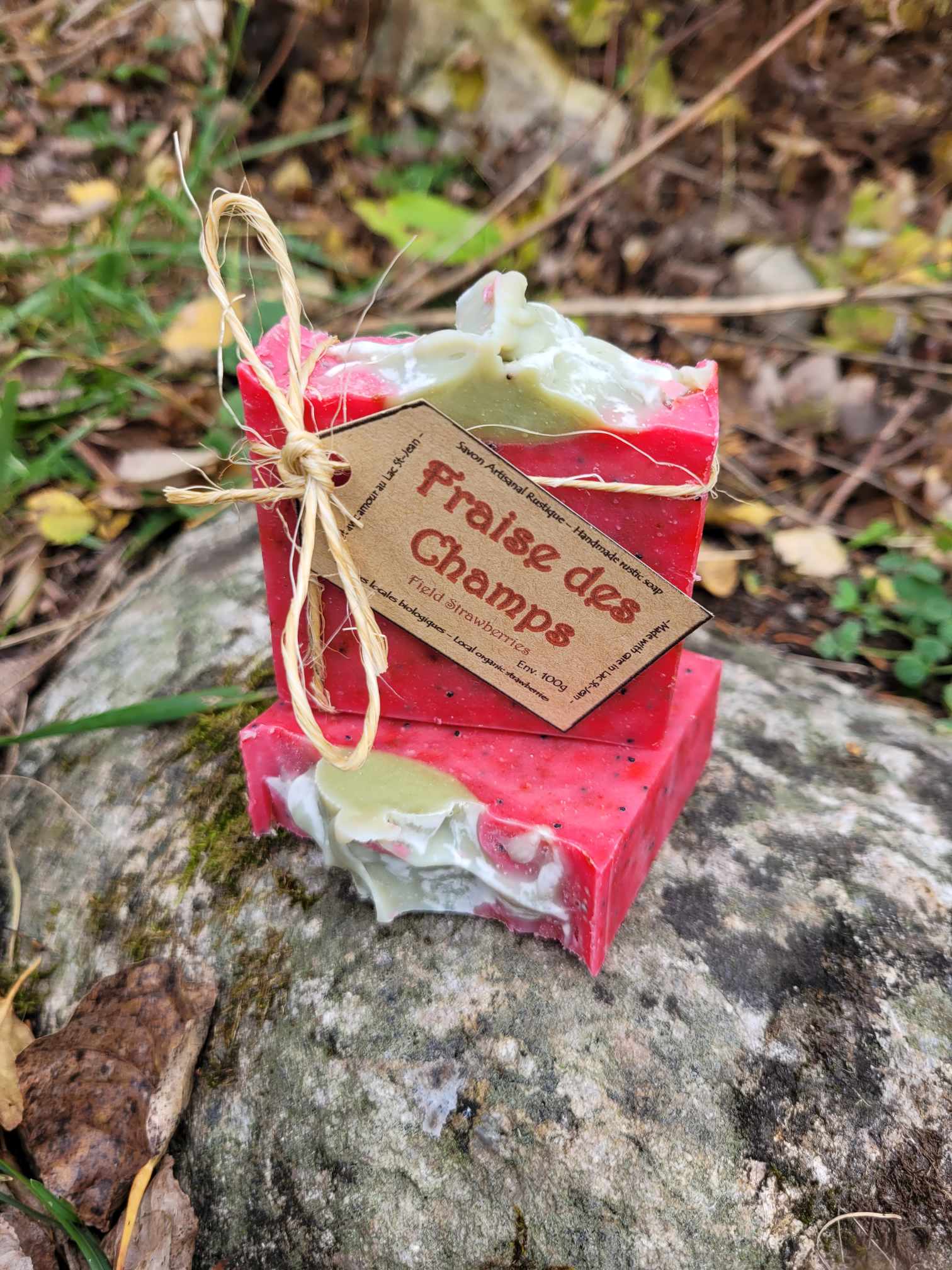 Fraises des Champs