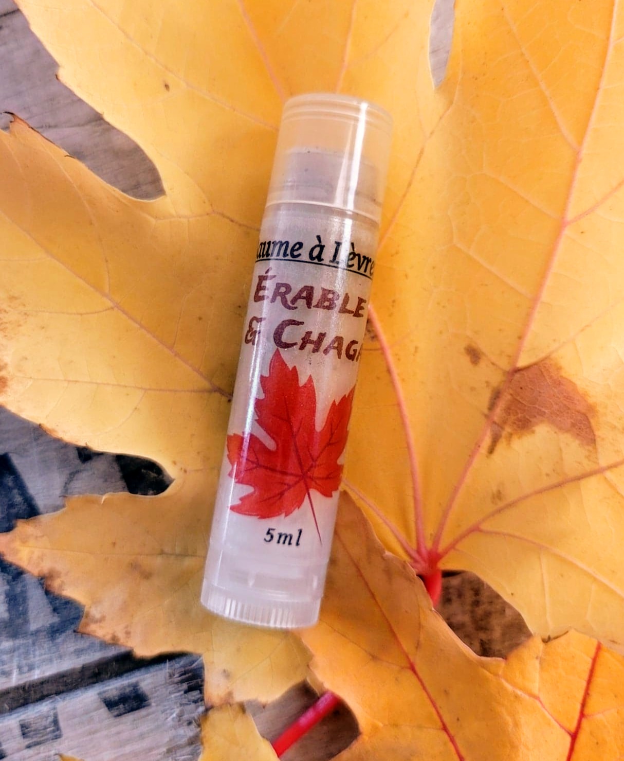 Baume à lèvres: Érable & Chaga