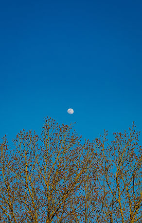 IMG_5233.jpg
