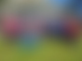 Finale de la "Raideur Cup" des Séniors de la Kaligunak