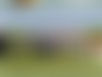 Équipe 1 vice championne de France 2eme division !