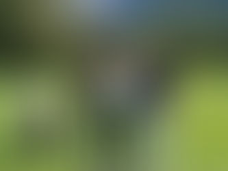 Coupe de France à Chamonix