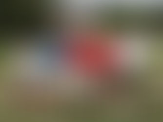 Sophie vainqueur du Grand Prix de Mazieres à Niort !