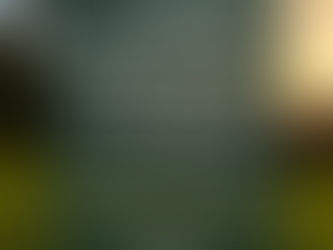 Compétition "BIRDIE IMMOBILIER" ce dimanche!