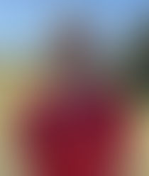 LES ( NOMBREUSES ) NEWS DU WEEK-END !