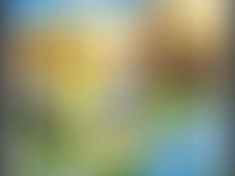 Compétition du 14 août