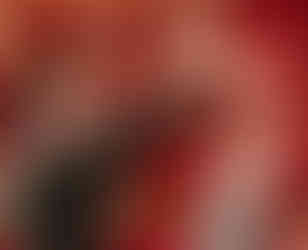 Facilitateur graphique présentant les planches visuelles aux citoyens de la Convention Fin de Vie