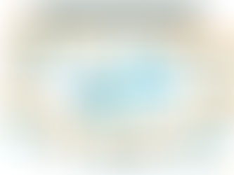 CNAM : Facilitation graphique Séminaire Direction Générale